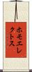 ホモ・エレクトス Scroll