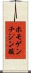 ホモゲンチジン酸 Scroll
