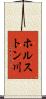 ホルストン川 Scroll