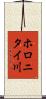 ホロニタイ川 Scroll