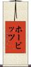 ホービッツ Scroll