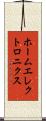 ホームエレクトロニクス Scroll