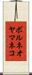 ボルネオヤマネコ Scroll