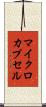 マイクロカプセル Scroll