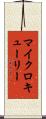 マイクロキューリー Scroll