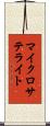 マイクロサテライト Scroll