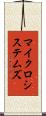 マイクロシステムズ Scroll