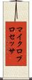 マイクロプロセッサ Scroll