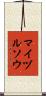 マイヅルソウ Scroll