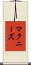 McNeese Scroll