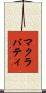 マクラバティ Scroll
