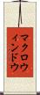 マクロ・ウィンドウ Scroll