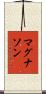 マグナソン Scroll