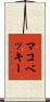 マコベッキー Scroll