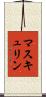 マスキュリン Scroll