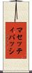 マセッティバッシ Scroll