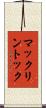 マックリントック Scroll
