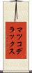 マツコデラックス Scroll