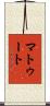 Matute Scroll