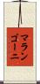 マランゴーニ Scroll