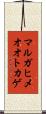 マルガヒメオオトカゲ Scroll
