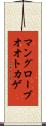 マングローブオオトカゲ Scroll