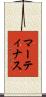 Martinus Scroll