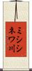 ミシシネワ川 Scroll