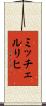 ミッチェルリヒ Scroll