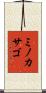 ミノカサゴ Scroll