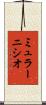 ミュラーニシオ Scroll