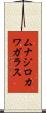 ムナジロカワガラス Scroll