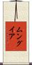 Munguia Scroll