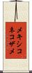 メキシコネコザメ Scroll