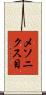 メソニクス目 Scroll