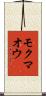 モクマオウ Scroll