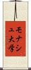 モナシュ大学 Scroll