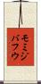 モミジバフウ Scroll