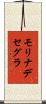 モリナデセグラ Scroll