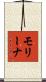 Molina Scroll