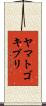 ヤマトゴキブリ Scroll