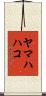 ヤマハハコ Scroll