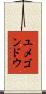 ユメゴンドウ Scroll