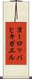 ヨーロッパヒキガエル Scroll