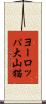 ヨーロッパ大山猫 Scroll