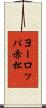 ヨーロッパ赤松 Scroll