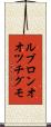 ルブロンオオツチグモ Scroll