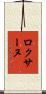 Roxane Scroll