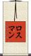 Rothman Scroll