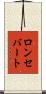 ロンセバート Scroll